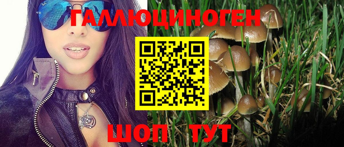 Галлюциногенные грибы MAGIC MUSHROOMS  Вход с VPN  Междуреченск 